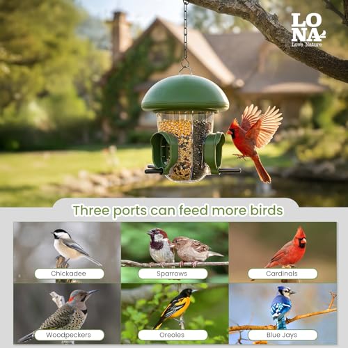 LONA Bird Feeders for Outdoors Hanging – 3 Separate Compartments, 3 Feeding Ports, Weatherproof Dome & 3 Ways to Hang, Large Capacity for Cardinals/Finches (Green | Weatherproof&Easy Clean, 3 Ports&3 Ways for Hanging, Large seed Capacity for Wild Birds, O