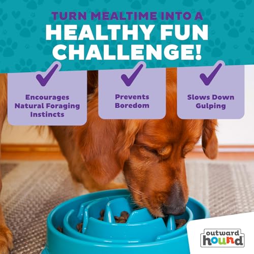 Outward Hound Fun Feeder Slo Bowl – Large 4‑Cup Capacity,Slow Feeding,Medium to Large Dogs,Non‑Slip,Turquoise,Drop Pattern,(Pack of 6) - color: Turquoise, size: Large (Pack of 6)