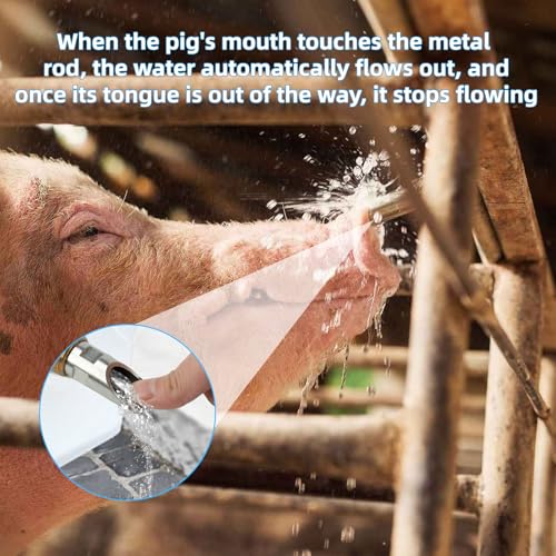 6 Pack Pig Waterer Nipples, Stainless Steel Hog Waterer Barrel Kit | Automatic Pig Nipple Water Drinker, 2.5 x 0.75 in Size, 1/2 in Thread, Touch-Activated Flow, PTFE Tape, Piglets and Goats - color: Coppery-6 Pcs