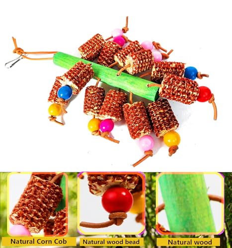 Bird Chew Toys, Natural Corn Cob Parrot Toys for Small/Medium Birds | Natural Corn Cob, Bird-Safe Dyes, Can Hung Inside the Cage, Promotes Beak Health, For Cockatiels, Conures, Lovebirds & More
