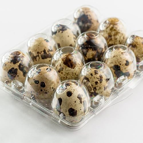 JAPCHET 200 Pack 12 Grid Quail Egg Cartons, Reusable Quail Egg Cartons Cheap Bulk, Stackable Plastic Quail Egg Container for Quail Eggs - size: 200 Pack 12 Grid