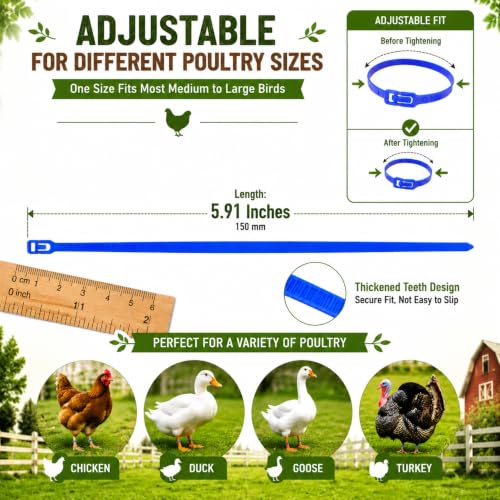 Adjustable Chicken Leg Bands with Charms, Reusable Quick-Release Tags | 40 Reusable Leg Bands with Quick-Release Buttons and 20 Charms for Chickens, Ducks, Geese & Turkeys, Includes Storage Box