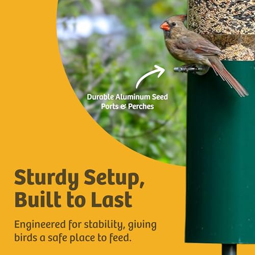 Birds Choice Classic Squirrel Proof Bird Feeder with Pole Mount | Tube Bird Feeder for Cardinals, Chickadees, Woodpeckers | Sturdy Steel for Long-Lasting Use | Backyard Bird Seed Dispenser | Green | Sturdy Steel Tube Seed Dispenser, for Cardinals, Chickad