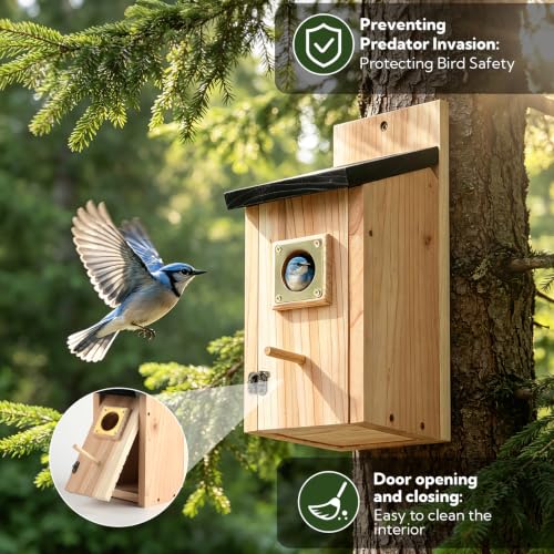 2 Pack Bird Houses for Outside - Cedar Bird House with Metal Predator Guard & Perch, Outdoor Bluebird Nesting Box for Wren Finch Swallow Chickadee, Weather Resistant (Brass) - color: brass