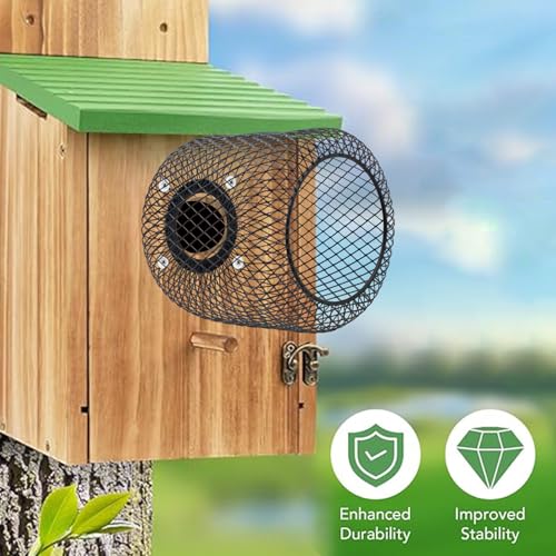 Bluebird House Protector Guards, Black Iron Mesh Protector | Bird House Entrance Hole Protector to Keep Predators Out, Lantern Shaped Smooth Edges