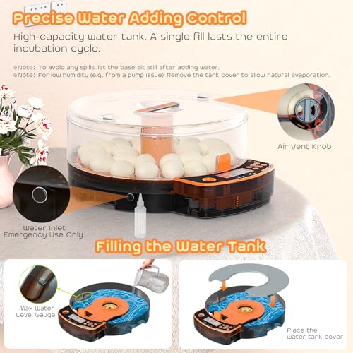 AsFrost Automatic Chicken Egg Incubator, Egg Incubator 24 Eggs | Digital Incubator with Dual Modes,Temp & Humidity Control,Auto Turner,Egg Candler, Incubator for Hatching Quail & Poultry Egg