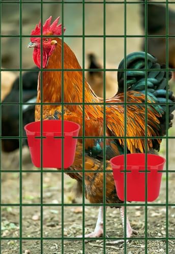 40 Pack Cage Cups Birds Feeders Seed Bowl Chicken Feeding Watering Dish Rabbit Water Food Hanging Wire Cages Box 8oz Coop Cups for Pet Parrot Parakeet Gamefowl Poultry Pigeon (Red) - size: 40PCS Red