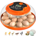 Egg Incubators for Hatching Eggs, 18 Egg Incubator with Automatic Egg Turning and Humidity Control Incubator for Chicken Duck Quail Home Lab - size: O-18H