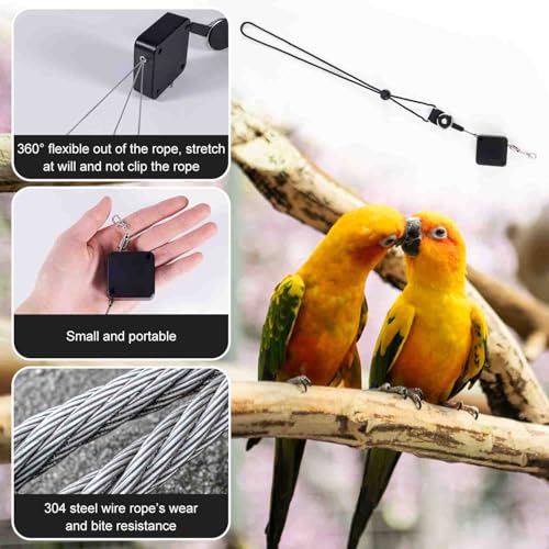 Retractable Bird Harness, 6.56ft Training Leash with 3 Sizes of Foot Rings - Parakeet & Parrot Leash Kit for Cockatiels, Budgies (Black) - color: Black