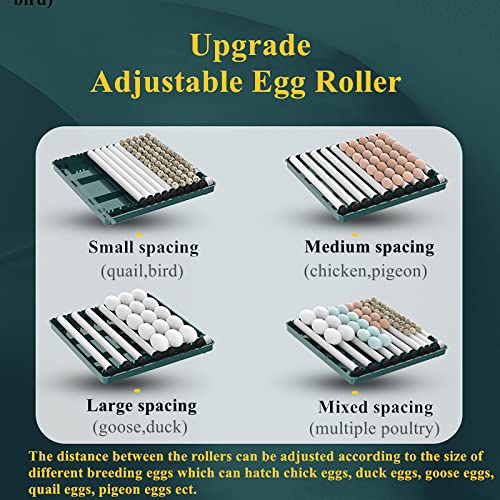 Egg Automatic Incubator | 24-60 Eggs, Intelligent Incubators for Hatching Eggs, Poultry Hatching Machine, For Chicken Duck Goose Quail Bird Pigeon