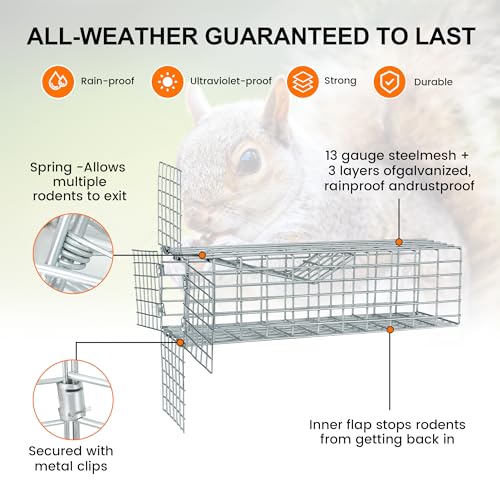 One Way Squirrel Door Excluder, Humane Squirrels, Chipmunks Contactless Excluder, for Outdoor Spaces Like Attics, Chimneys - Includes Full Installation Kit