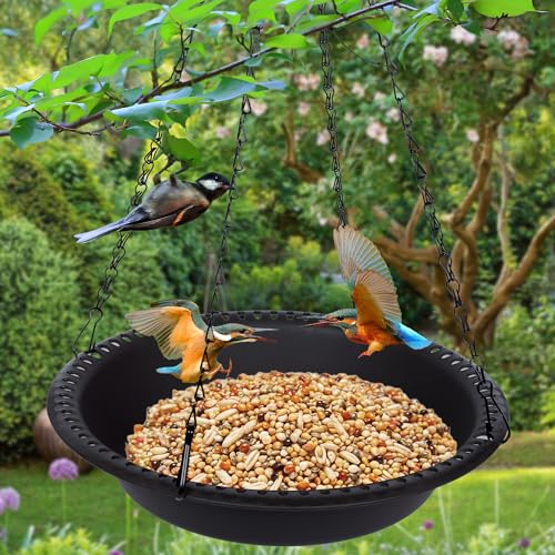 Hanging Bird Feeder Tray 10inch for Garden Yard Outside, Black - color: Black, size: 10 inch