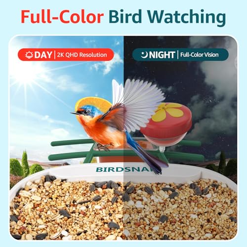 birdsnap® TUC Bird Feeder with Camera Solar Powered 2K Video with 32GB Card | AI Bird Species Identification, Squirrel-Proof, IP65 Waterproof, Outdoor Wireless, 2.4G WiFi, Gift for Mom Dad Bird Lovers - color: Yellow