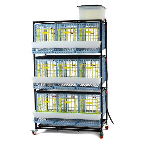 Chicken Cage - 3 Layer H: 15" (Power-Washable, Durable, PP Plastic (Polypropylene) | Hatching Time