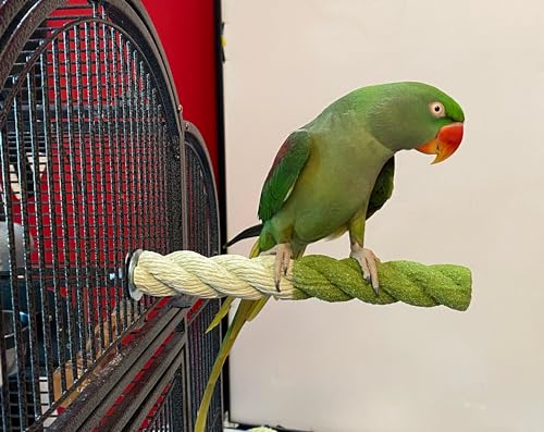 Polly's Sand-E-Rope Safety Bird Perch Toy-Trims Nails & Beak-Promotes Healthy Feet-Safe Non-Toxic-Bird Supplies for Bird Cages (Green, Medium) - color: Green, size: Medium