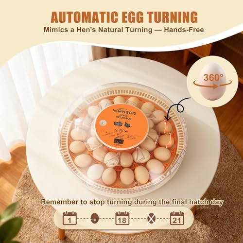 Nest II - 30 Egg Incubator for Large-Batch Hatchers, Hands-On Control, Auto Egg Turning, Manual Water Fill, Consistent Temp, Real-Time Display, Candler for Chicken, Goose, Duck, Quail, Pigeon, Turkey - size: 30 Egg [Orange]