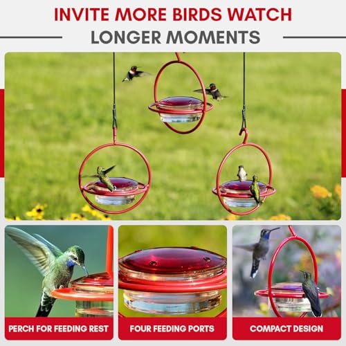 Hummingbird Feeder for Outdoors Hanging, 3.4 OZ Hummingbird Feeders, Glass Bowl with 4 Feeding Ports, Leak Proof Lid & Circular Perch, Bird Feeder (1, Red) - color: Red