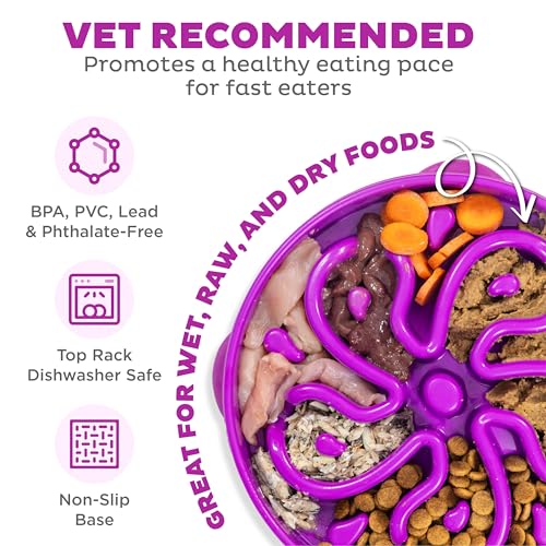 Outward Hound Fun Feeder Slo Bowl – Large 4‑Cup Capacity, Slow Feeding, Medium to Large Dogs, Non‑Slip, Purple, Flower Pattern - color: Purple, size: Large