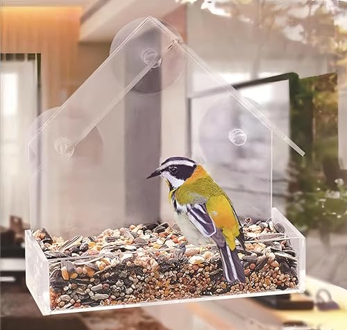 2 Pack Window Bird Feeder for Outdoors Clear Feeders Window Mounted with Strong Suction Cups Fummingbird Feeder Acrylic Birdfeeders for Viewing Wild Birds Outside, Interactive Cat Toys