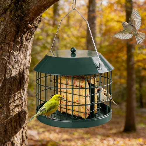Gbekery Caged Suet Bird Feeder for Outdoors Hanging, Squirrel Proof Double Suet Feeder for Small Birds, Metal Cage with Detachable Hook, Large Space, Outdoors Weatherproof, Green - style: Green Suet Cage
