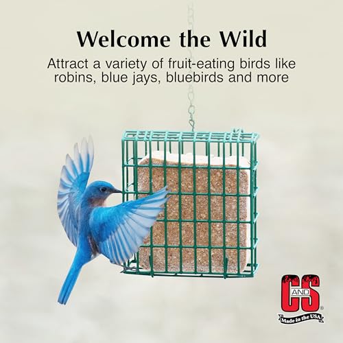 C&S Berry Suet Treat, Suet Cakes for Wild Birds, Pack of 8 | Suet cakes for woodpeckers, made with real berries, use in a suet feeder year-round - style: Berry, 8 Pack