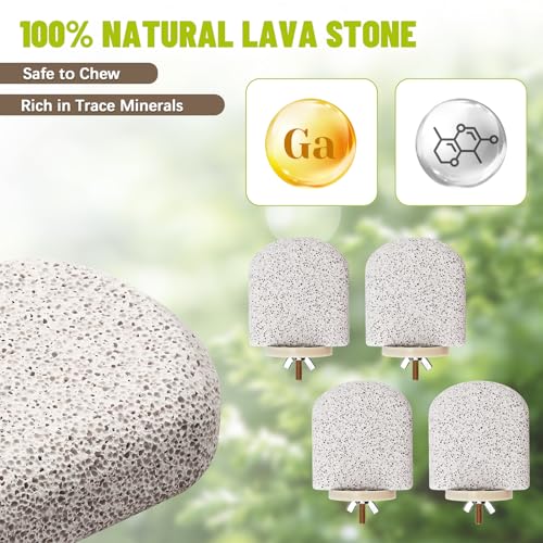 4 Pcs Lava Ledge Bird Perch Platform Set for Cages | Fits Small/Medium Parrots (Budgies, Conures) | Volcanic Calcium Stone for Beak Grinding & Claw Trimming | Tool-Free Mount
