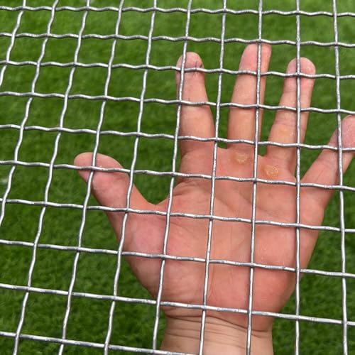 14 Gauge Strong Galvanized Woven Mesh 40"X24" 3/4" Mesh(About 0.75")|Delivered Flat|Poultry Cage Netting -Anti-Rodent Steel Mesh Crimped Mesh Snake Fence Chicken Wire Fencing-Corrugated Wire - style: 14Ga Hole 3/4"