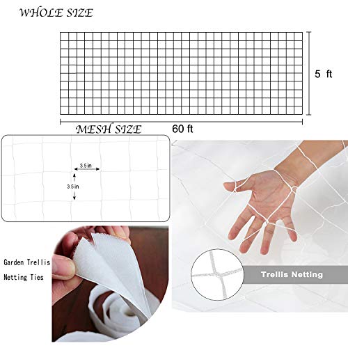 3.5in Mesh Trellis Netting, 5x60ft, 1 Pack | Polyester mesh netting for vine crops & plants; Suitable for garden garden applications - size: 3.5" Mesh (5'X60')