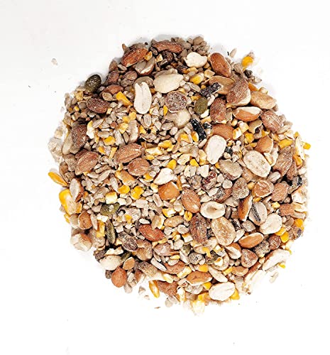 Wagner's 22056 Gourmet Waste Free Wild Bird Food, 5-Pound Bag, 2-Pack - style: 2-Pack