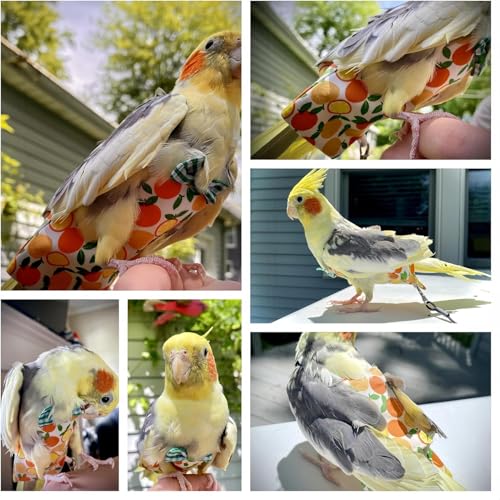 4Pcs Bird Diapers Bird Harness Flight Suits Diapers Reusable Parrot Nappy with Waterproof Inner Layer Washable Cute Urine Wet Suit Costume for Cockatiel Conure Budgie Parakeet-Fruit,L