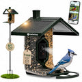 FeatherSnap Smart Bird Feeder with Camera – Solar Powered, AI Bird ID, 1080p HD Night Vision – Includes Mounting Pole – Bird Feeder with Pole