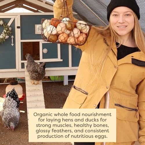 Scratch and Peck Feeds | Layer Crumbles for Chickens & Ducks | 25 lb Bag | 16% Protein, Corn & Soy Free, Certified Organic & Non-GMO Project Verified, Complete Nutrition - size: 25 Pound (Pack of 1), style: Layer