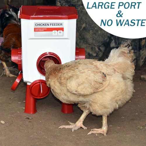 Float-Controlled Automatic Chicken Waterer & No Waste Feeder Kits - Chicken Coop Accessories, Poultry Waterer and Feeder, Two Buckets 3 Gallon/18-23 Pounds - color: Blue+Red