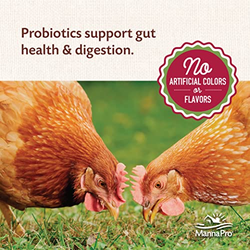 Manna Pro All Flock Crumbles with Probiotics, Chicken & Duck Food, 8 lb Bag | Complete Feed for Mixed Flocks, 16% Protein, Chicken & Duck Feed, Added Probiotics for Digestion, Easy-to-Eat Crumbles - size: 8 Pound (Pack of 1)