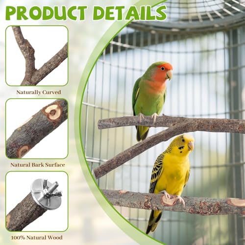 12 Pcs Natural Wood Bird Perch Stand & Platform Set for Cages | Ideal for Small/Medium Birds (Budgies, Conures) | Bark Textures for Foot Health | Tool-Free Wing-Nut | Safe Chewing - size: Deluxe Playground Set - 12PCS