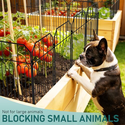 Goovilla Garden Fence, Total 10ft(L) x 21in(H), 10 Pcs, Rustproof Metal | Garden Fencing Animal Barrier, Wire No Dig Fence Panels, Black Decorative Garden Fences and Borders for Dogs,Flower Bed,Patio - size: Square arch with Curved