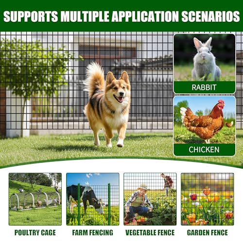 PVC Coated Welded Wire Fence 24" x 50' Roll, 2"x3" Mesh,15GA, Black | Vinyl Coated Mesh, Garden Border, Vegetable Plant Protector, Pet & Dog Enclosure, Chicken Coop Fencing, Plant Protection - size: 24in*50ft