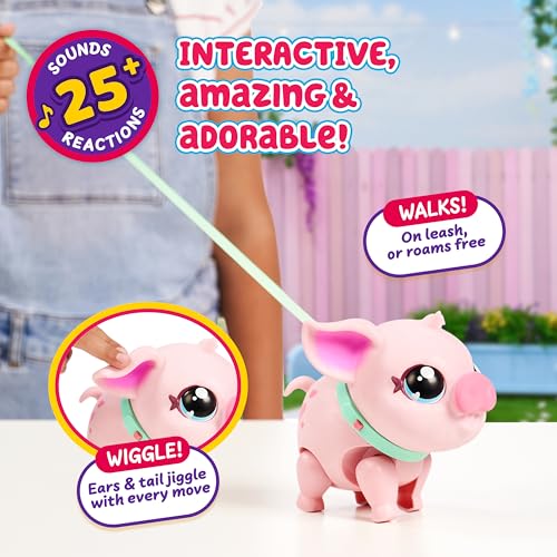 Little Live Pets My Pet Piggly the Toy Pig, Interactive Walking Pig Toy with 25+ Sounds and Detachable Leash, Pigs Toys for Kids of Ages 5+ | Wiggly nose sneezes, dances & walks with leash; interactive plush pet toy for kids ages 5+ - style: Walking Pig