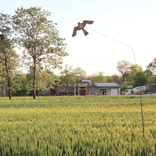Bird Scare Flying Kite with 4m Pole Has The Effect of Scaring Birds-Type A | Ideal for gardens farms and docks | Keeps birds geese and seagulls away |A kind of hawk deterrent - color: pink
