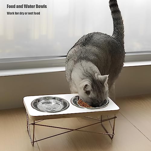 8Pcs Stainless Steel Cat Bowls 5.5 Inch Kitten Food Bowls for Indoor Cats | 5.5-Inch Shallow Stainless Steel Kitty Bowls; Whisker-Friendly Pet Dishes for Indoor Cats; Dishwasher Safe Metal Cat Bowl