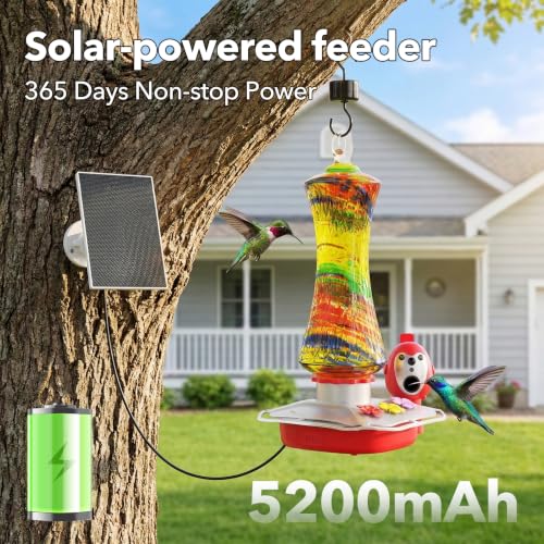 Hummingbird Feeder with Camera, 2K Smart Bird Feeder with AI Bird Detection & App Alerts, Solar Powered Bird Feeder Camera with Water Level Monitor, Hand-Blown Glass Hummingbird Feeder for Outdoors