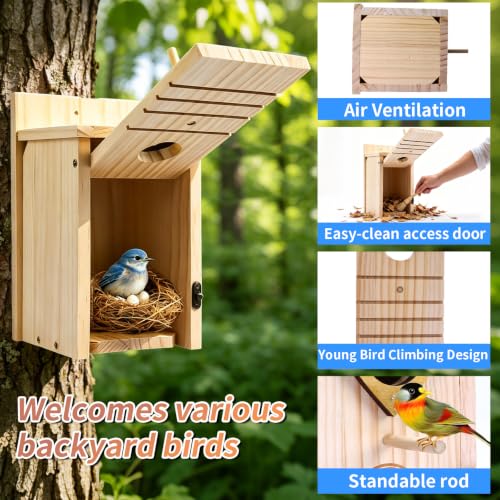 2PC Cedar Bluebird Houses for Outside with Nesting Material | Bird House Outdoor With Copper Guard, Predator Proof Bluebird Houses, Kits for Adults & Kids with Perch & Nesting Material