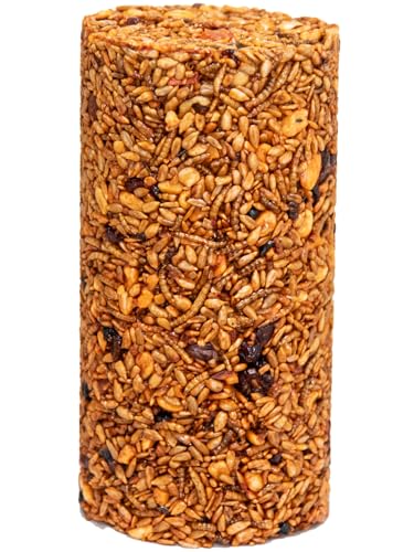 JCs Wildlife Squirrel Stopper Bugs Nuts & Berries Small Cylinder 1.5lbs (12-Pack) - size: 1 Count (Pack of 12)