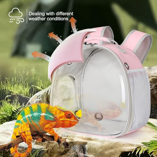 Hamster Backpack Carrier, Bearded Dragon Carrier Backpack with Clear Bubble Window,Small Animal Travel Backpack for Hedgehog Rat,Chameleon,Rabbit,Sugar Glider,Airline Approved (Pink, Backpack) - color: Pink