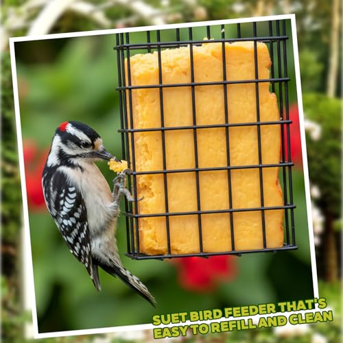 6 Pack Suet Bird Feeders, Outdoor Hanging Metal Cage for Wild Birds, Single Suet Cake Capacity, Garden and Yard Decor