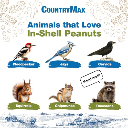 CountryMax Backyard Seeds 50 Pounds Peanuts in Shell - size: 50 Pound (Pack of 1), style: Raw In-Shell