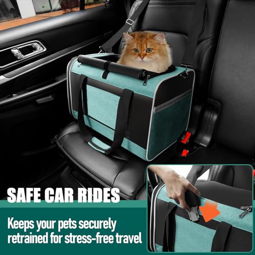 GAPZER Large Cat Carrier Soft, Collapsible Travel Pet Carry Bag, Small Dogs | Big Kitten Cat 20lbs Mainecoon, Top Open Travel Shih-Tzu Pet Kennel, Yorkie Small Dog 10 Pounds, 18x12x12, Durable Cloth Teal - color: Turquoise