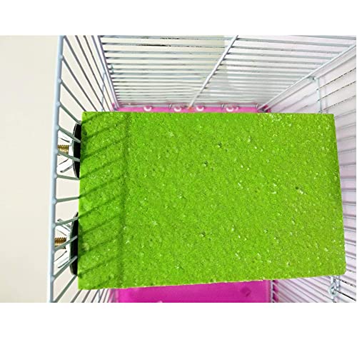 Litewoo Bird Perch Grinding Stand for Parrot Budgie Parakeet,5.1" x 3.5" | Natural quartz sand, wood perch, trims beak & nails, flat bird perch for small-medium parrots/budgie/parakeet/lovebird/finch