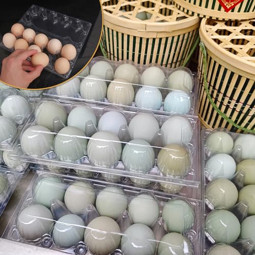 98 Pack Bulk Egg Cartons, Clear Plastic Chicken Egg Holders, Egg Tray Carton Holder for Home & Kitchen, Farm & Market Use, An Eco-Friendly Egg Storage Solution, 10 Grids(Medium Size) - size: 98 Pack Egg Cartons 10 Grids