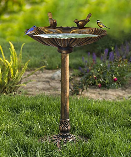 Westcharm 29 Inch Lightweight Antique Bronze Poly Resin Outdoor Birdbath for Outside with Decorative Birds and Pedestal Base Stand - Pedestal Bird Bath for Outdoors Yard and Garden - color: Bronze, size: 29 Inch Tall